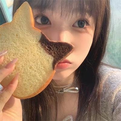 白鹭谣